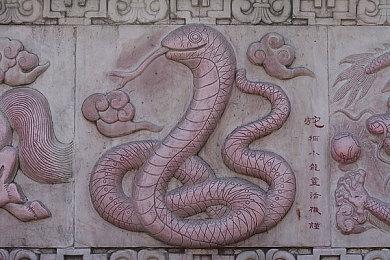 网飞《鱿鱼游戏：释放》手游下载量已突破1000万次